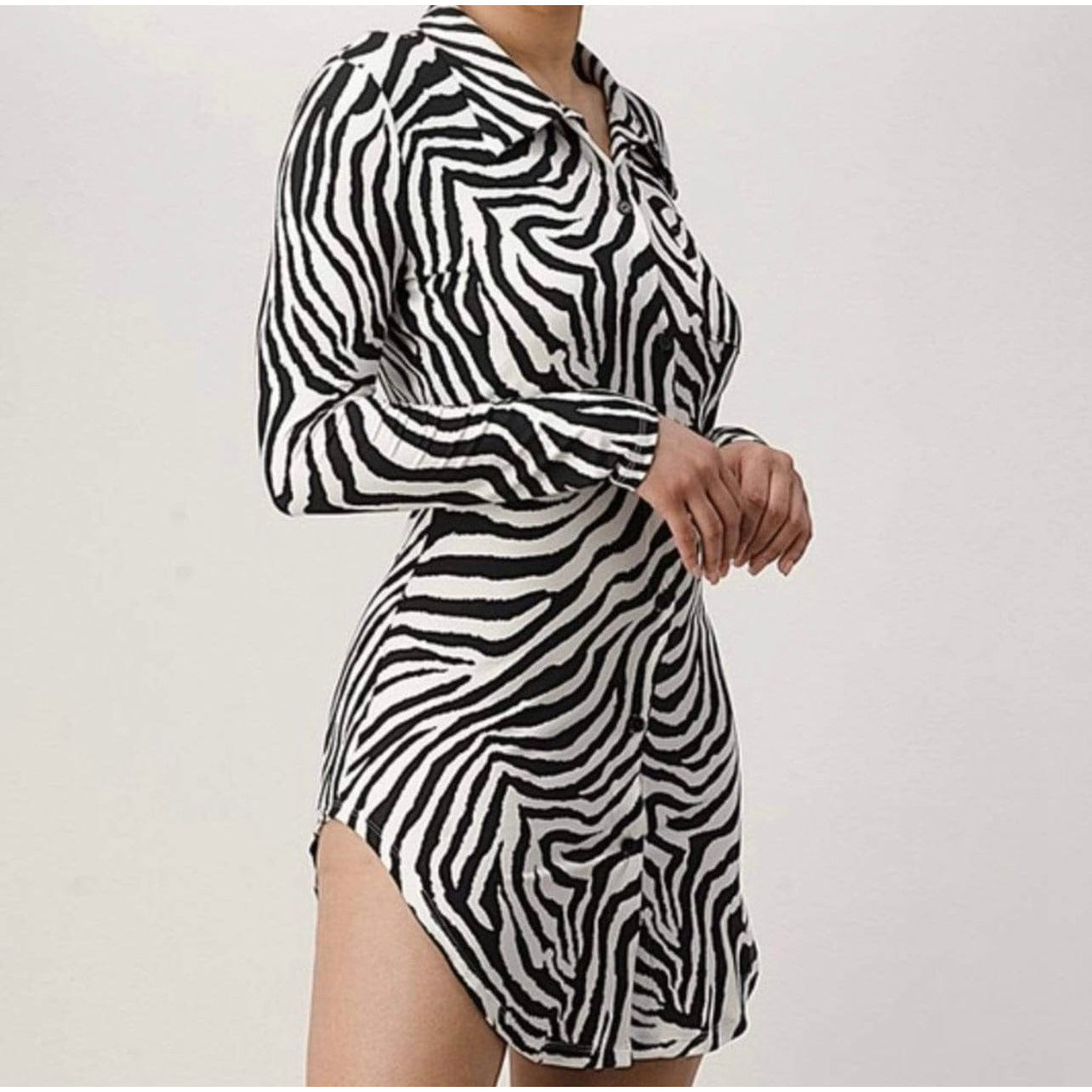 Zebra Print Button Down Dress