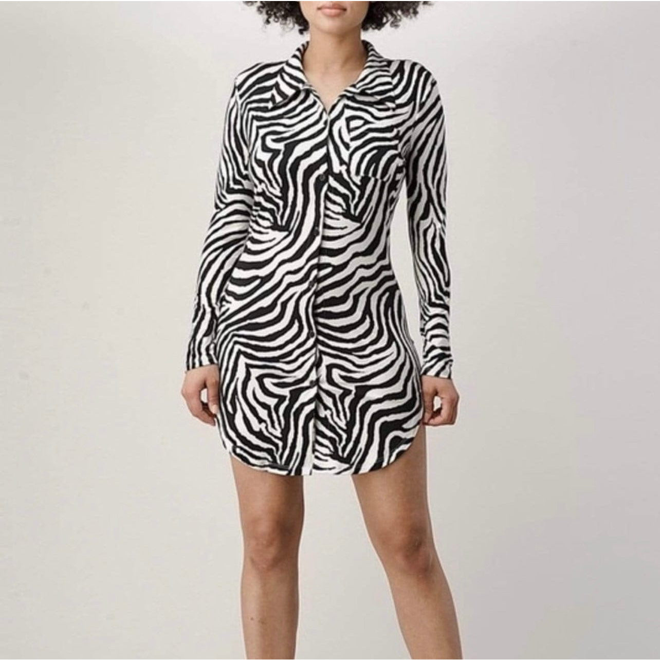 Zebra Print Button Down Dress